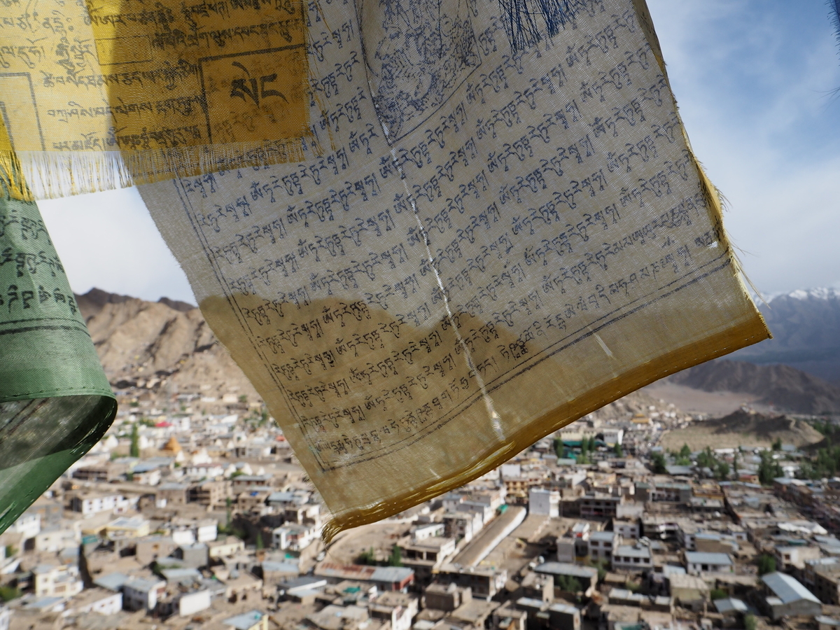 f:id:hareyamountain:20200421175931j:plain f:id:hareyamountain:20200421175931j:plain