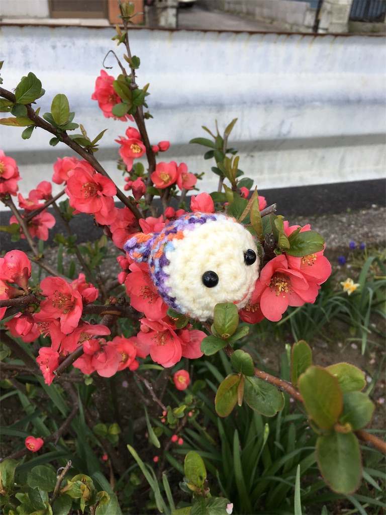f:id:harfmoon7:20190324204307j:image