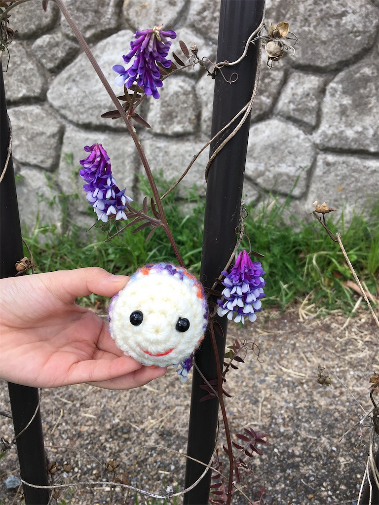 f:id:harfmoon7:20190324204352j:image