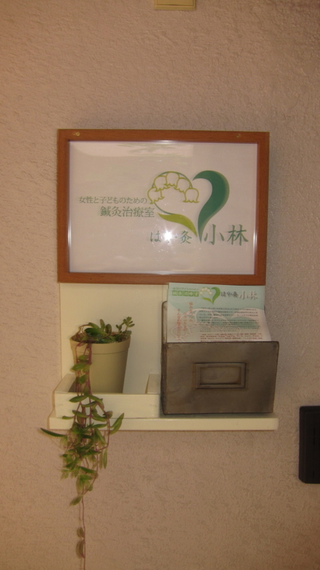 f:id:hari-kyu_kobayashi:20131026105731j:image:w360:right