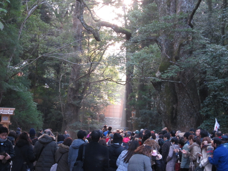 f:id:hari-kyu_kobayashi:20140101082938j:image:w360