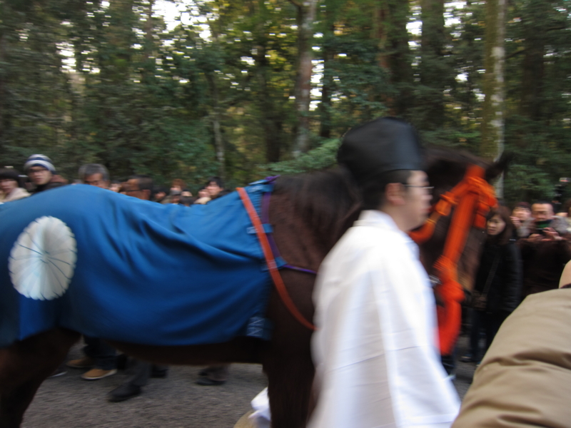 f:id:hari-kyu_kobayashi:20140101083120j:image:w360