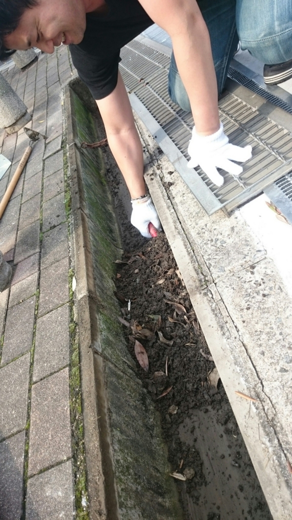 f:id:hari9danjiri:20160626212358j:plain