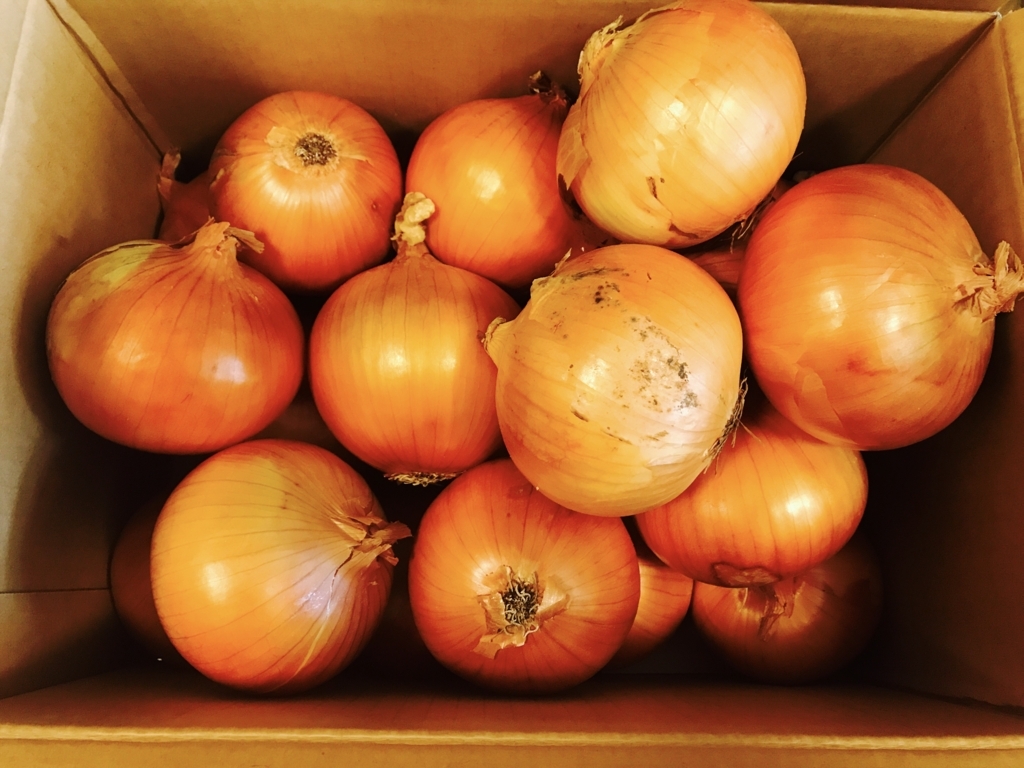 f:id:hari_nezumi:20170909071500j:plain f:id:hari_nezumi:20170909071500j:plain