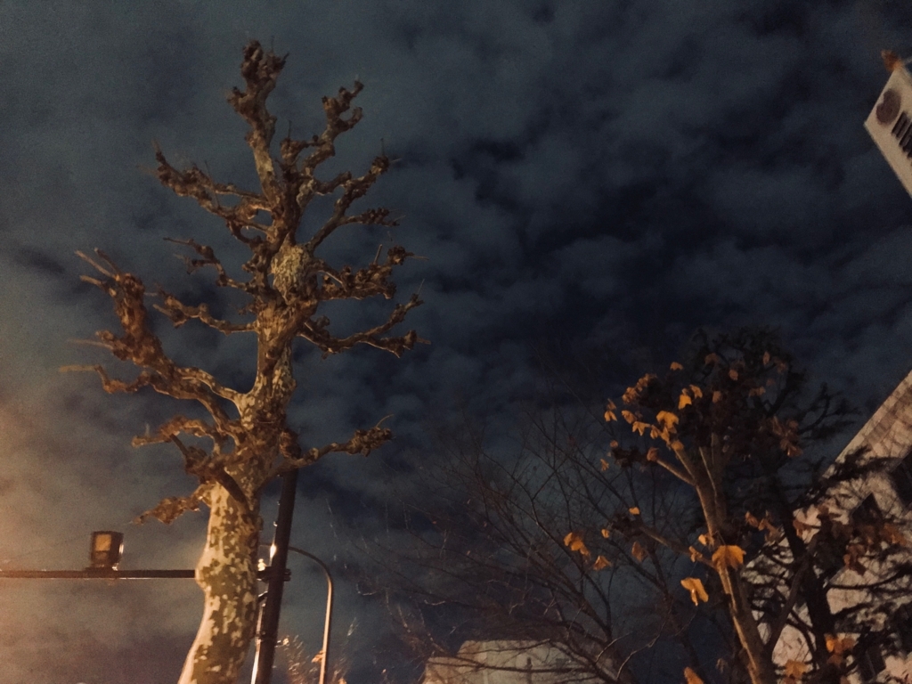 f:id:hari_nezumi:20171204222736j:plain