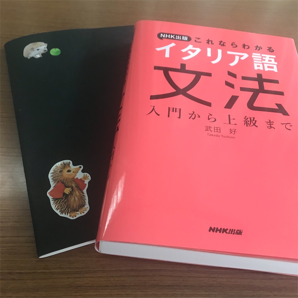 f:id:hari_nezumi:20180526170203j:image