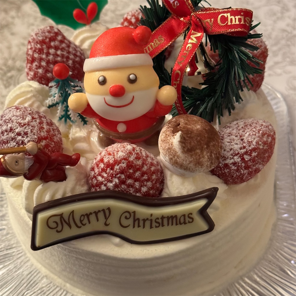 f:id:hari_nezumi:20231225002111j:image