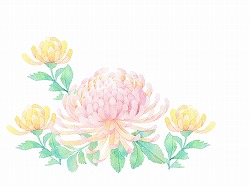 f:id:hariai:20161205190401j:plain