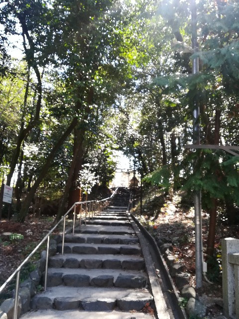 f:id:hariema:20190403192501j:image