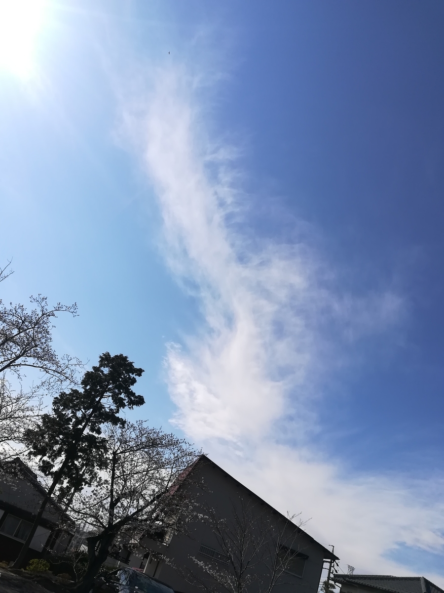 f:id:hariema:20190409223838j:plain