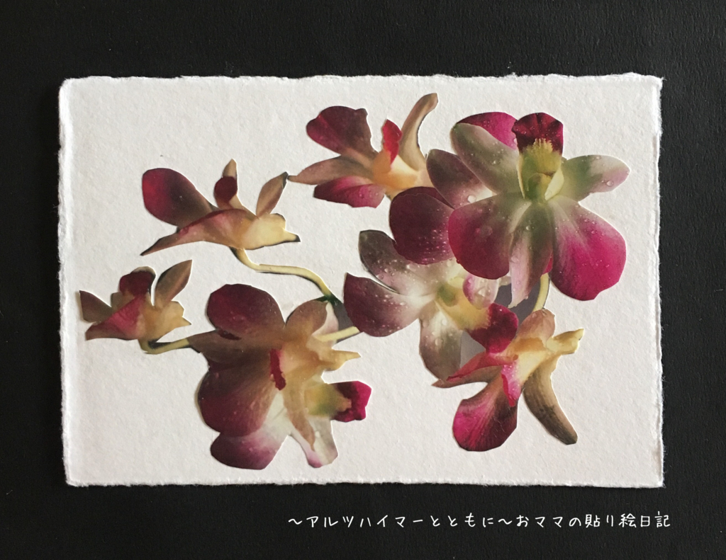 f:id:harienikki:20170411231315j:plain f:id:harienikki:20170411231315j:plain