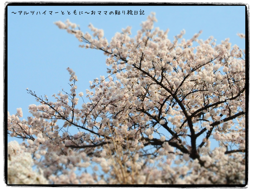 f:id:harienikki:20180329160510j:plain