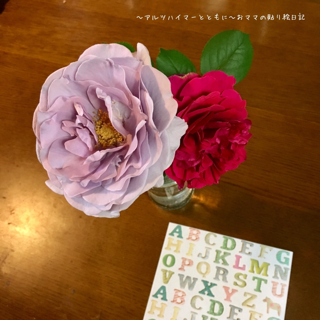 f:id:harienikki:20180504004130j:plain