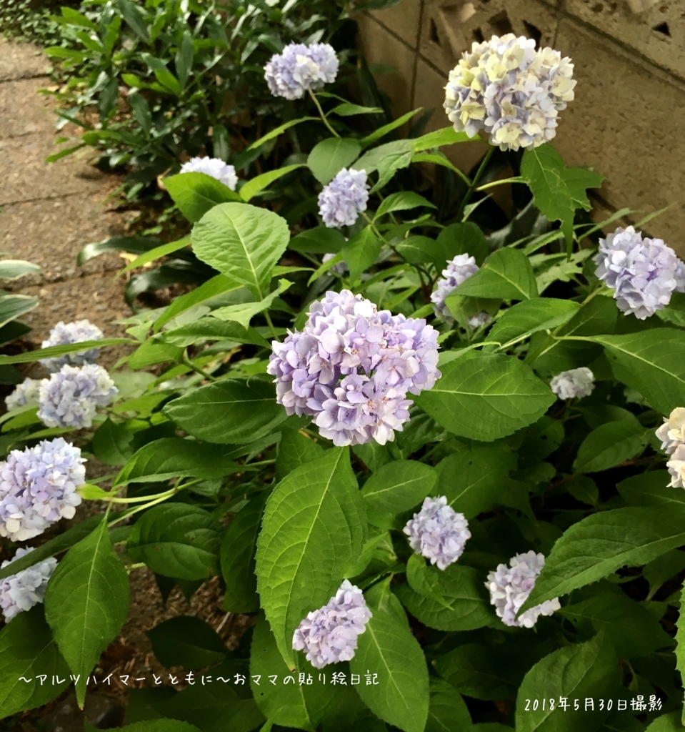 f:id:harienikki:20180621085129j:plain f:id:harienikki:20180621085129j:plain