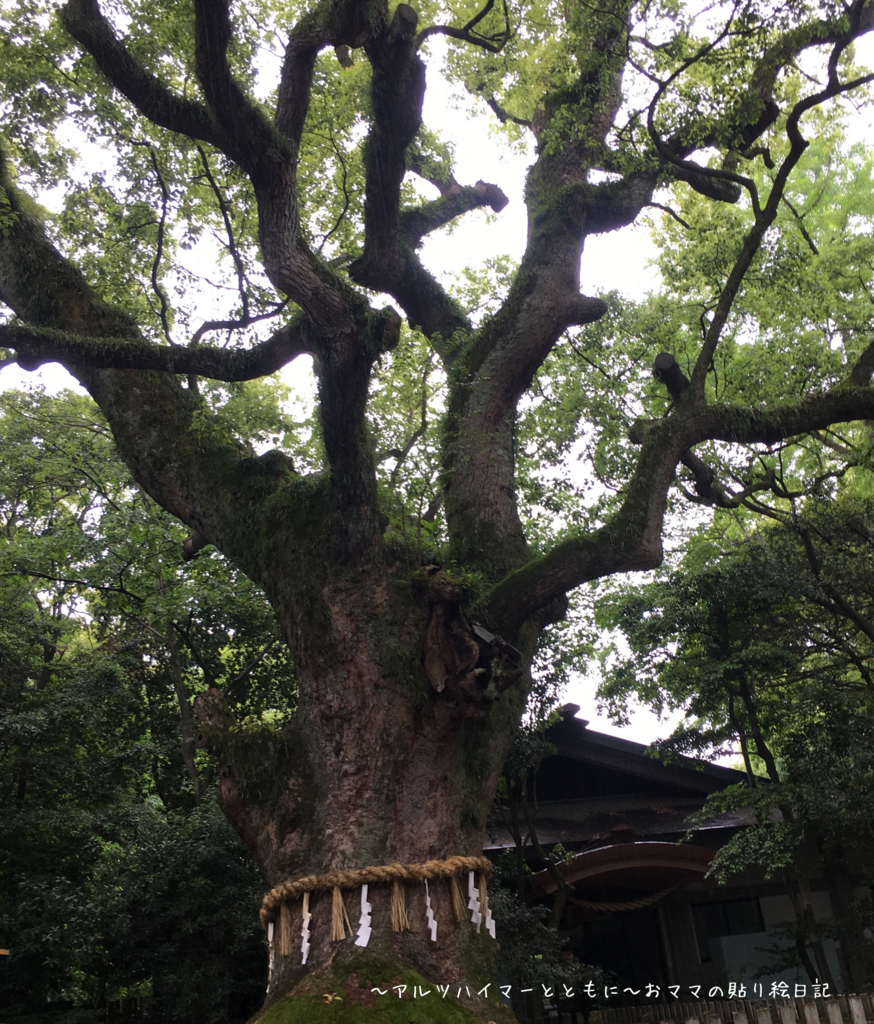 f:id:harienikki:20180719005429j:plain f:id:harienikki:20180719005429j:plain