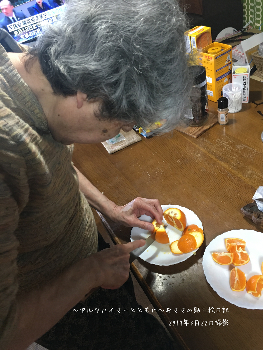f:id:harienikki:20190404155924j:plain