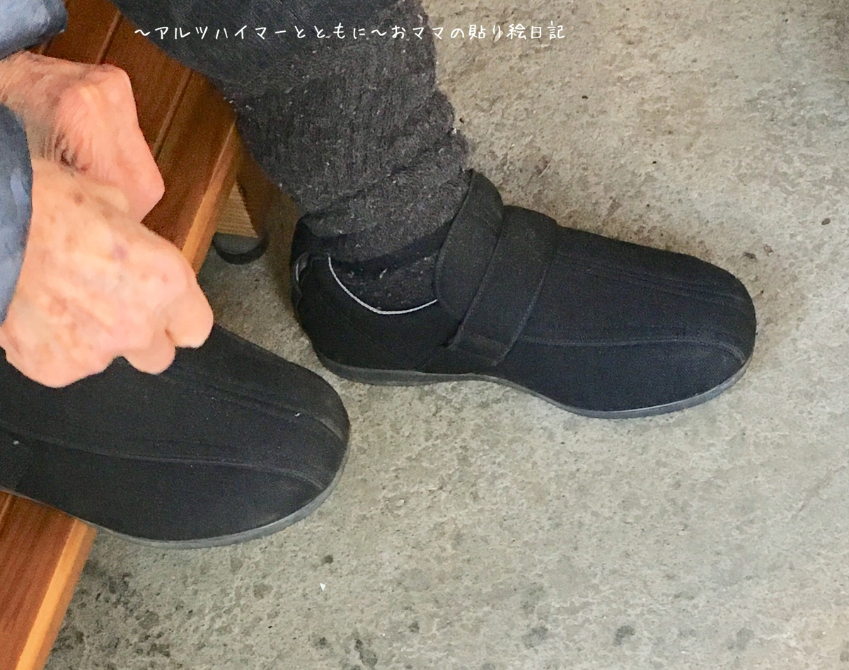 f:id:harienikki:20190408231354j:plain