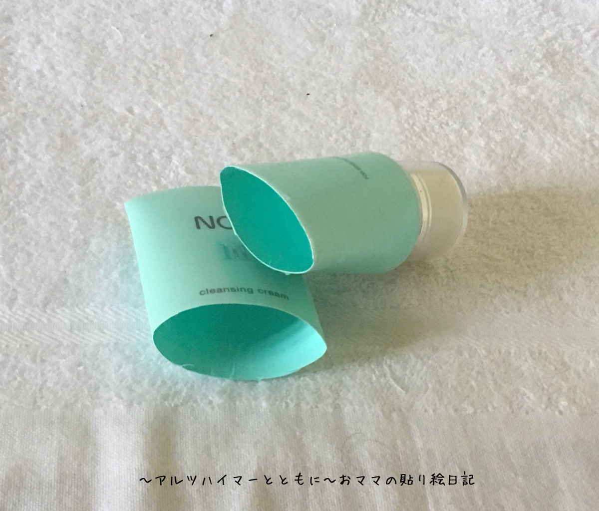 f:id:harienikki:20190513001120j:plain