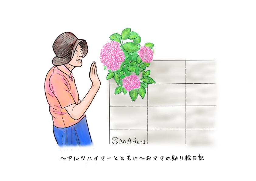 f:id:harienikki:20190624021230j:plain