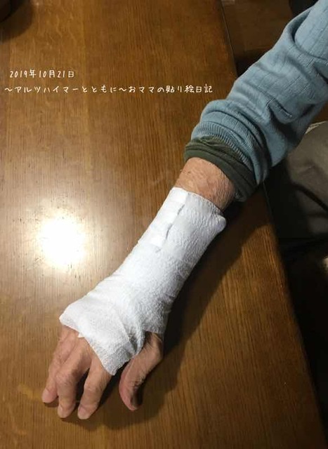 f:id:harienikki:20191022024837j:plain