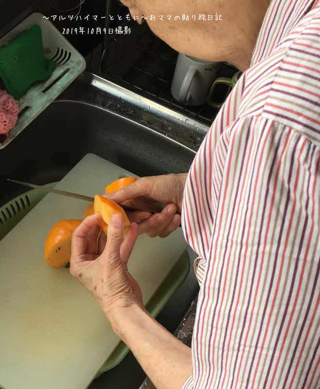 f:id:harienikki:20191108221559j:plain