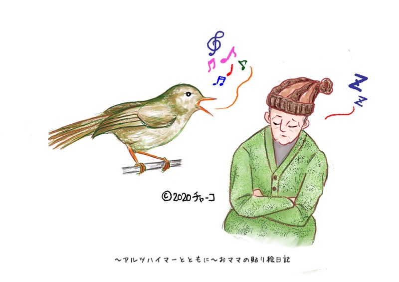f:id:harienikki:20200109103729j:plain