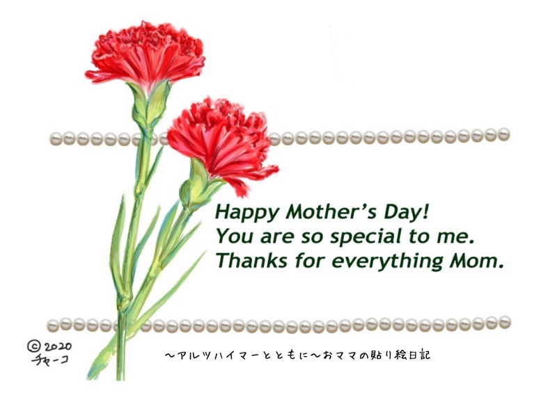 f:id:harienikki:20200509152913j:plain