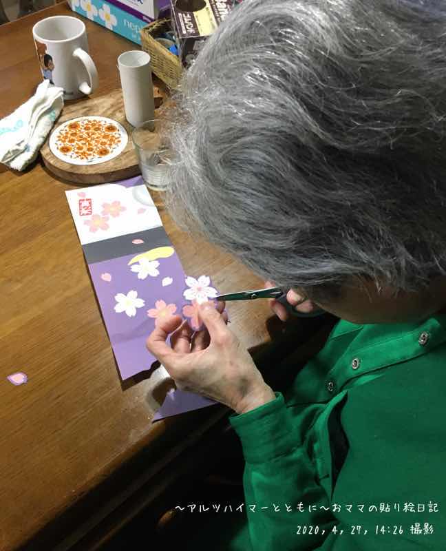 f:id:harienikki:20200609000218j:plain
