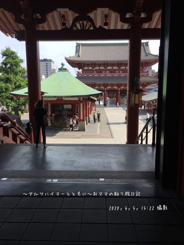 f:id:harienikki:20200609000254j:plain