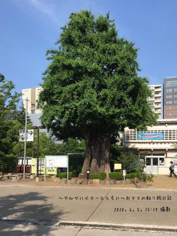 f:id:harienikki:20200609000323j:plain