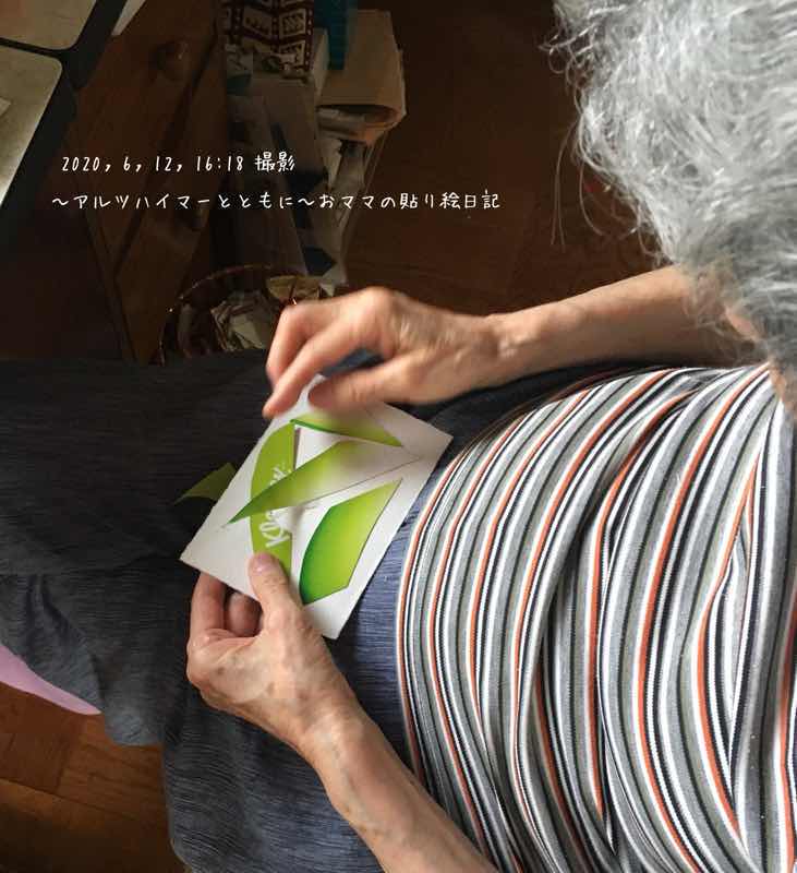 f:id:harienikki:20200630161641j:plain