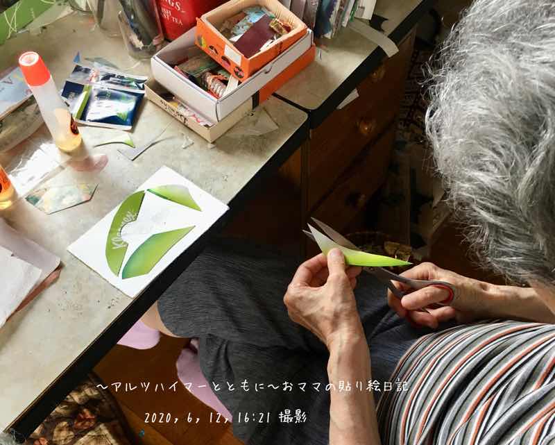 f:id:harienikki:20200630161700j:plain