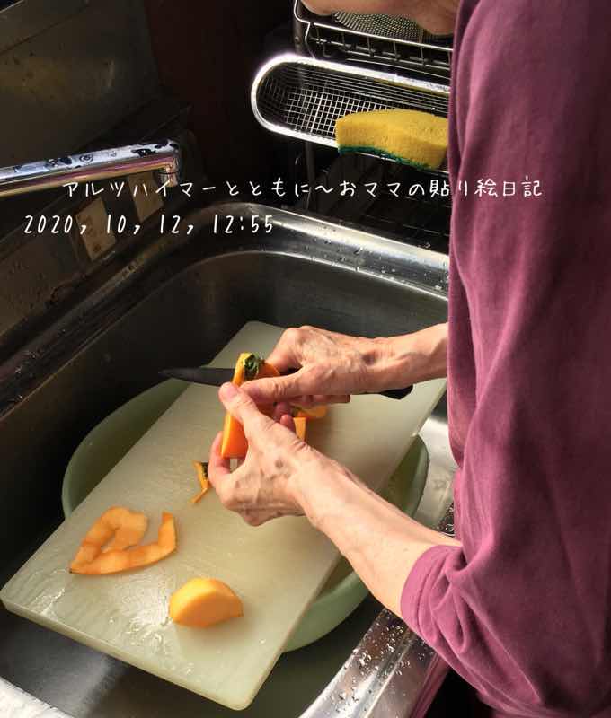 f:id:harienikki:20201224000334j:plain
