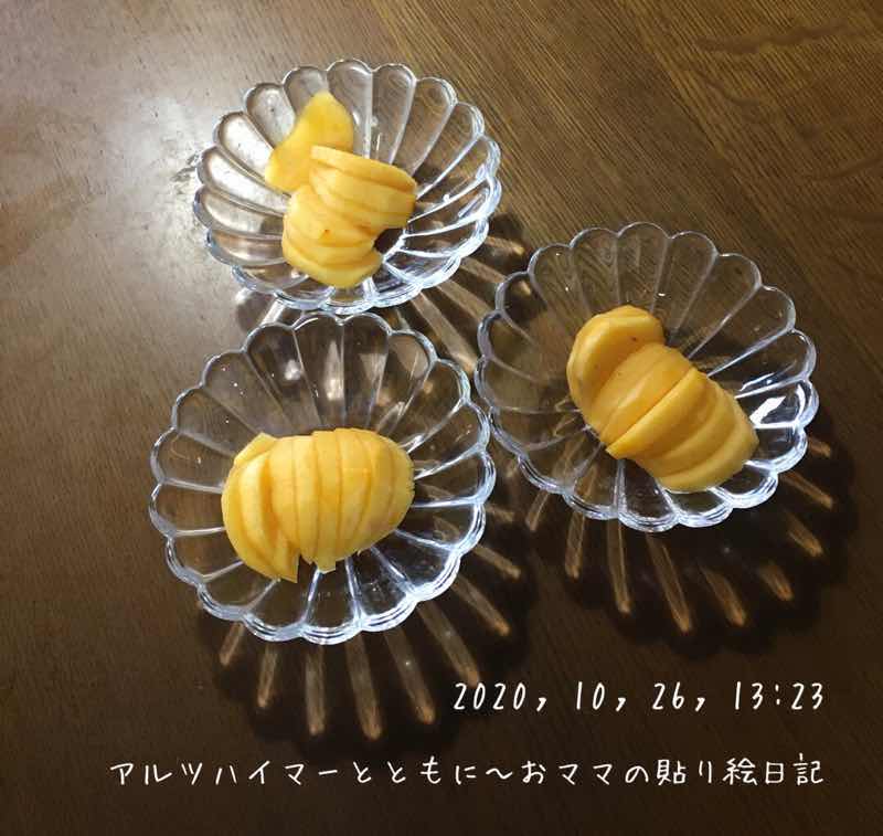 f:id:harienikki:20201224000419j:plain