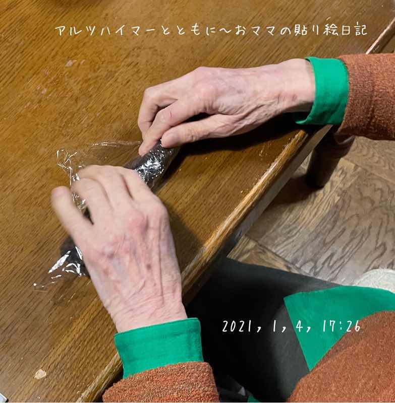 f:id:harienikki:20210105115254j:plain