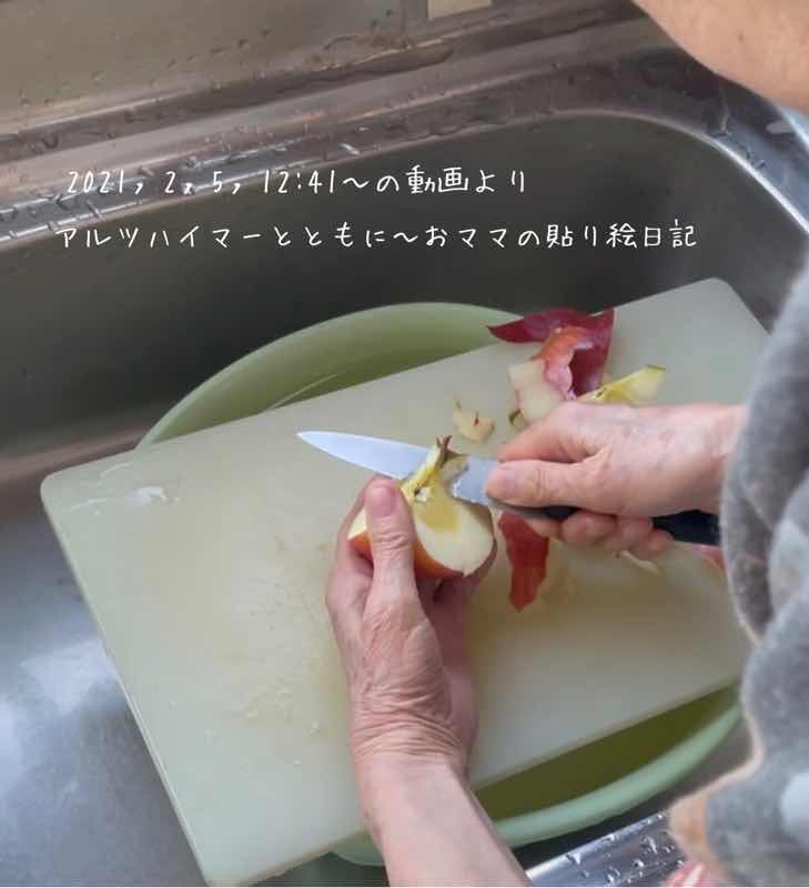 f:id:harienikki:20210215232013j:plain
