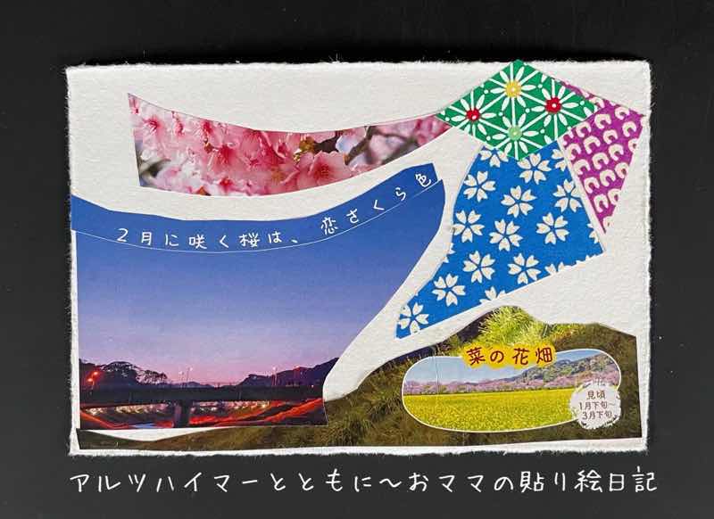 f:id:harienikki:20210327112014j:plain