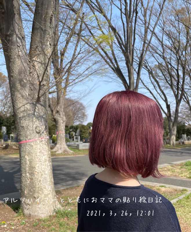 f:id:harienikki:20210327114403j:plain