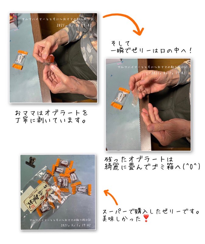 f:id:harienikki:20210403103624j:plain