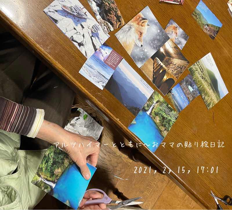 f:id:harienikki:20210504163932j:plain