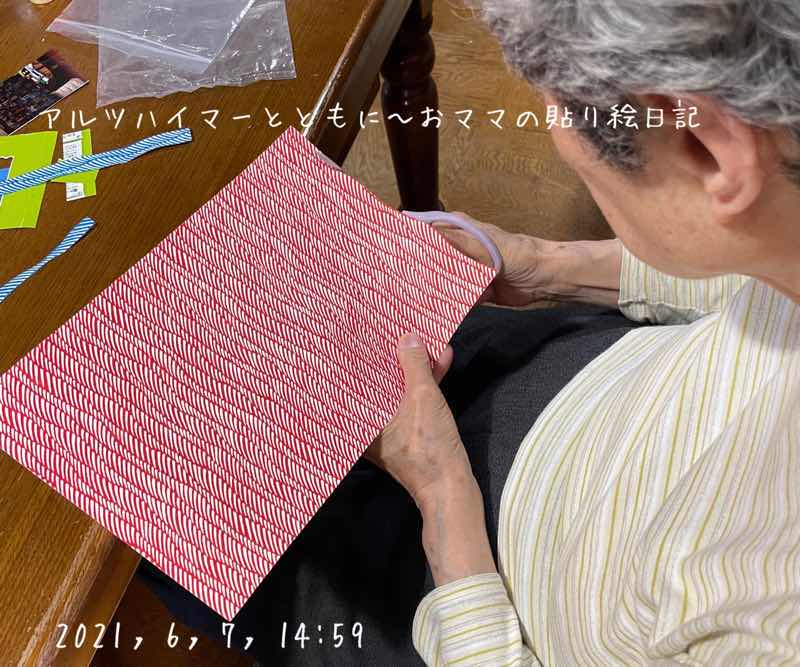 f:id:harienikki:20210624180958j:plain
