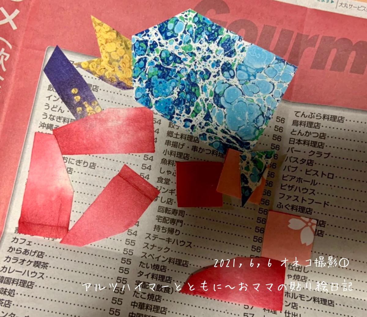 f:id:harienikki:20210701105708j:plain