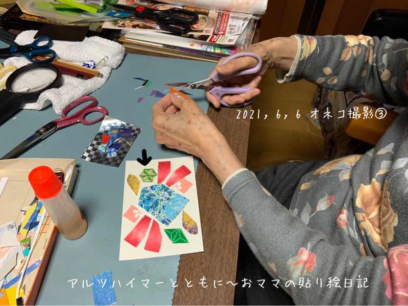 f:id:harienikki:20210701110855j:plain