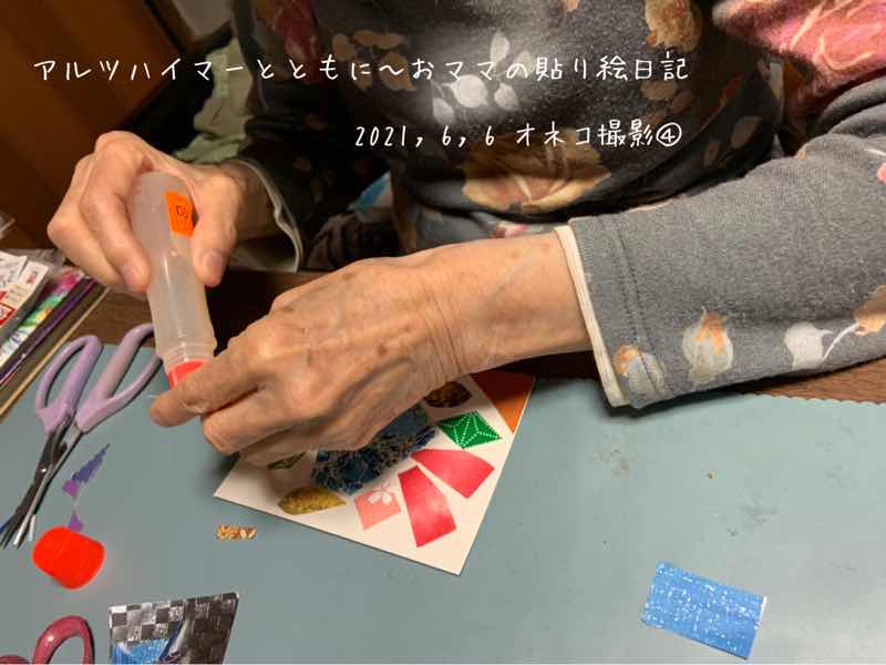 f:id:harienikki:20210701110913j:plain