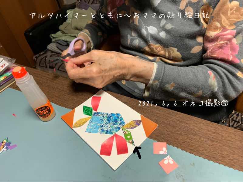 f:id:harienikki:20210701110928j:plain
