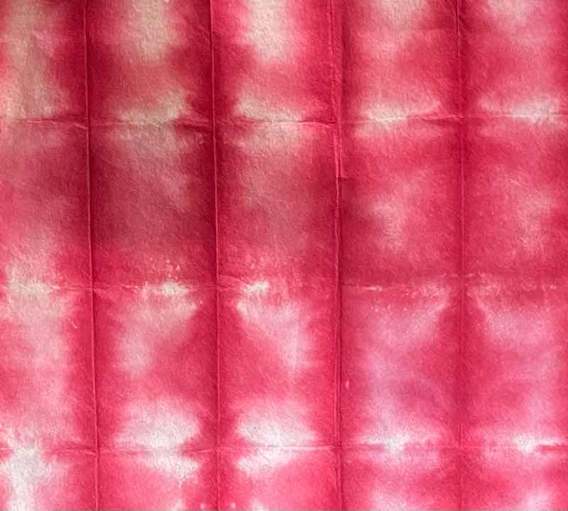 f:id:harienikki:20210722233852j:plain