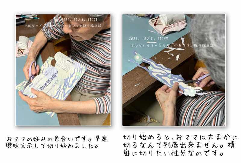 f:id:harienikki:20211202142727j:plain