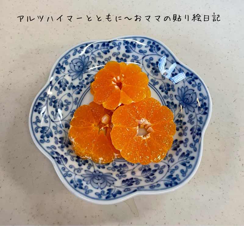 f:id:harienikki:20220102162304j:plain