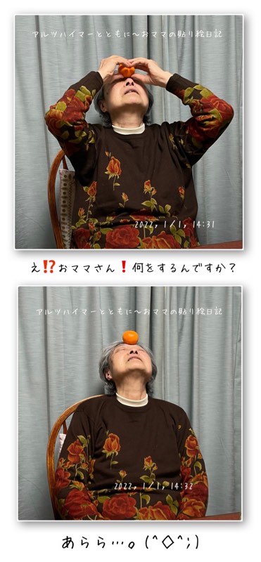 f:id:harienikki:20220102163305j:plain