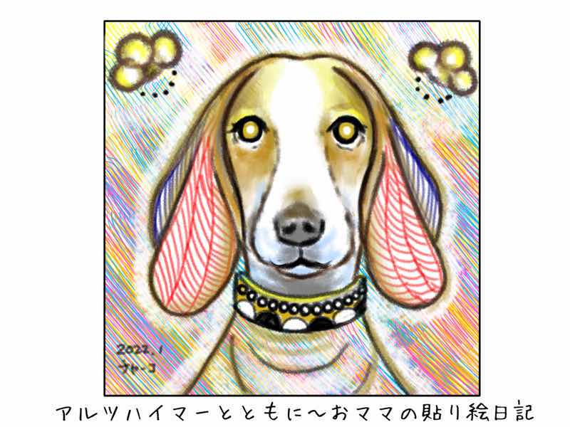 f:id:harienikki:20220125185650j:plain